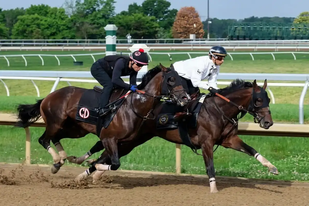 Golden Tempo entrena en Keeneland rumbo al Belmont Stakes