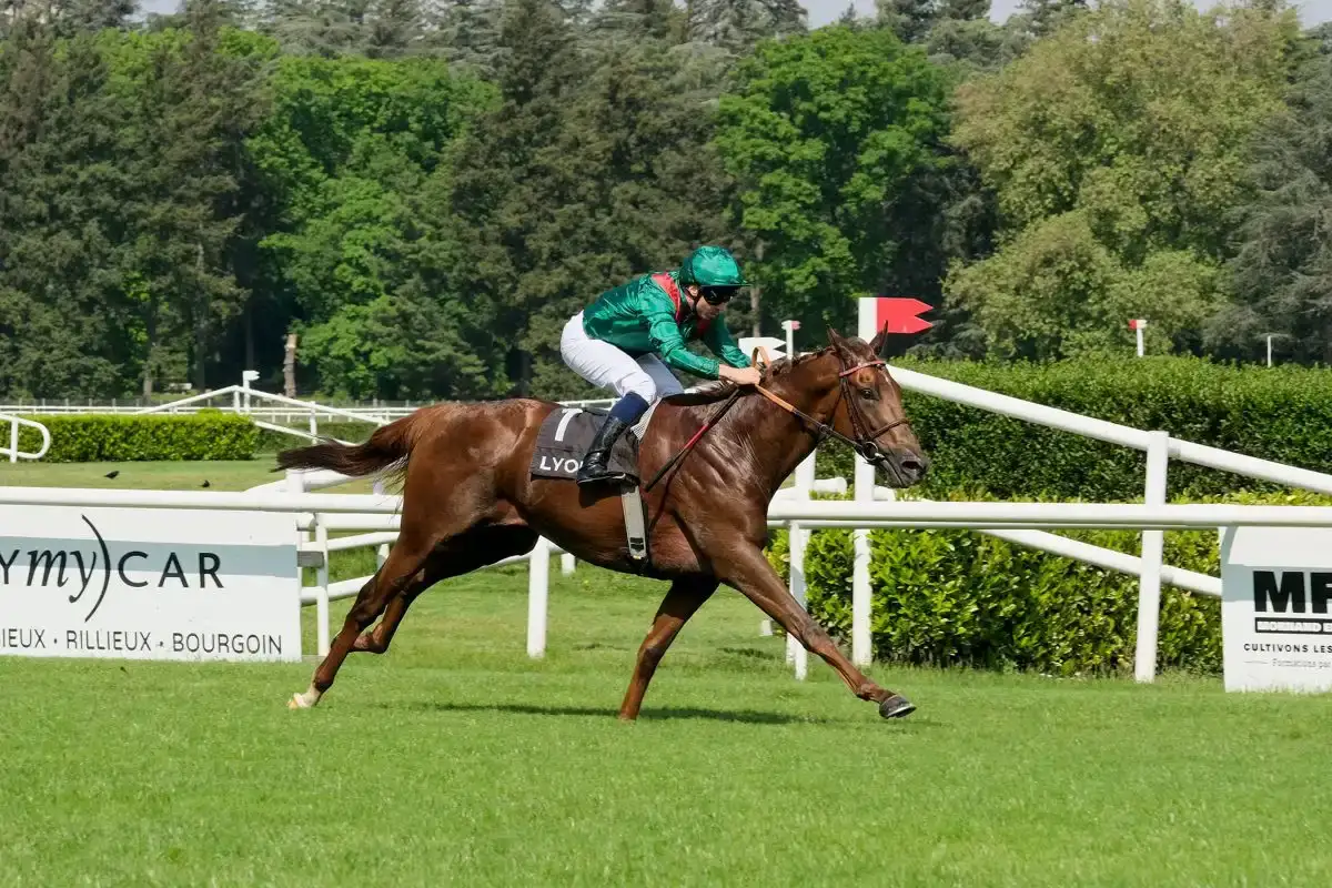 Varandir gana el G3 Prix Hocquart y mantiene su récord invicto