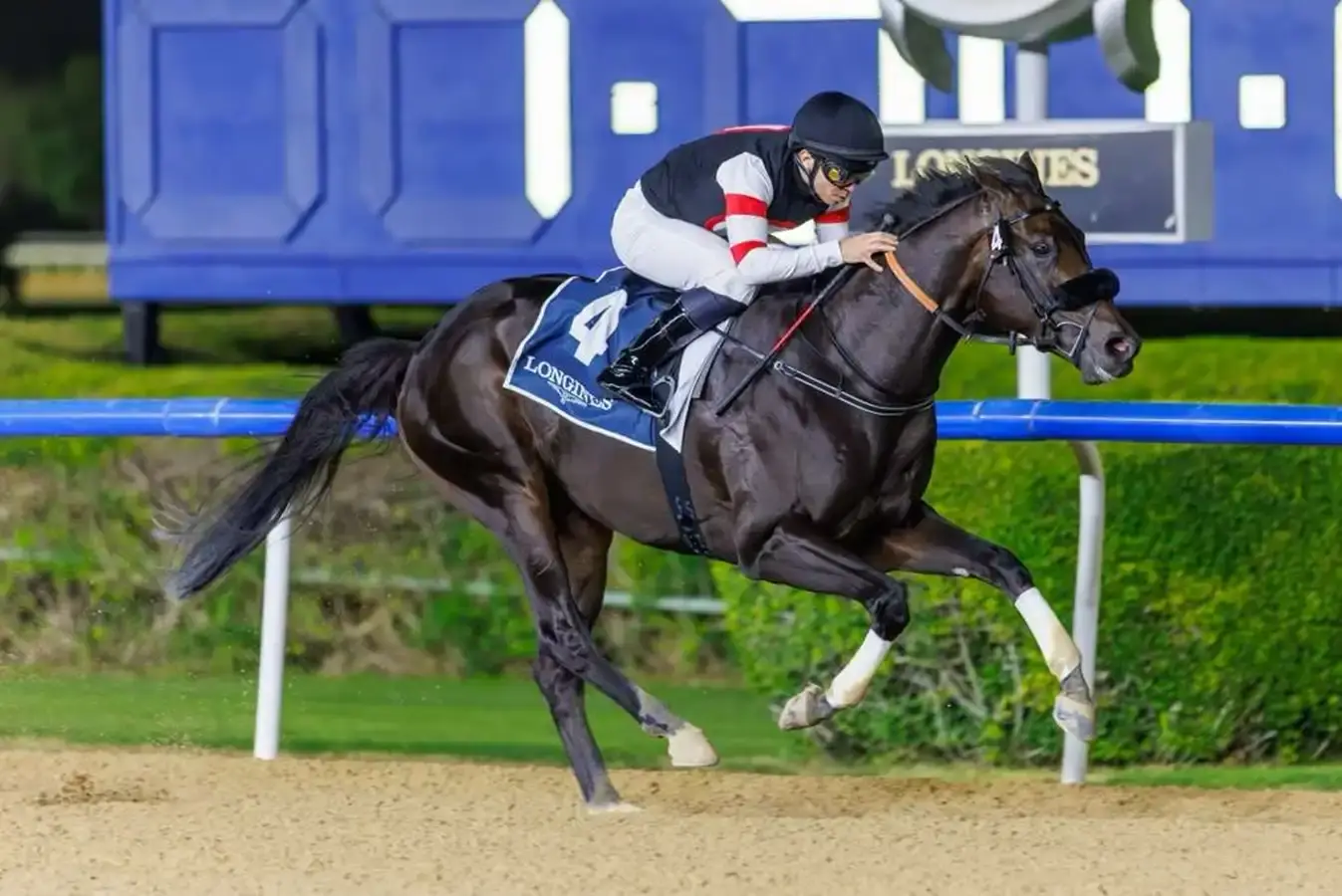 Six Speed apunta al Woody Stephens o Met Mile tras el Kentucky Derby