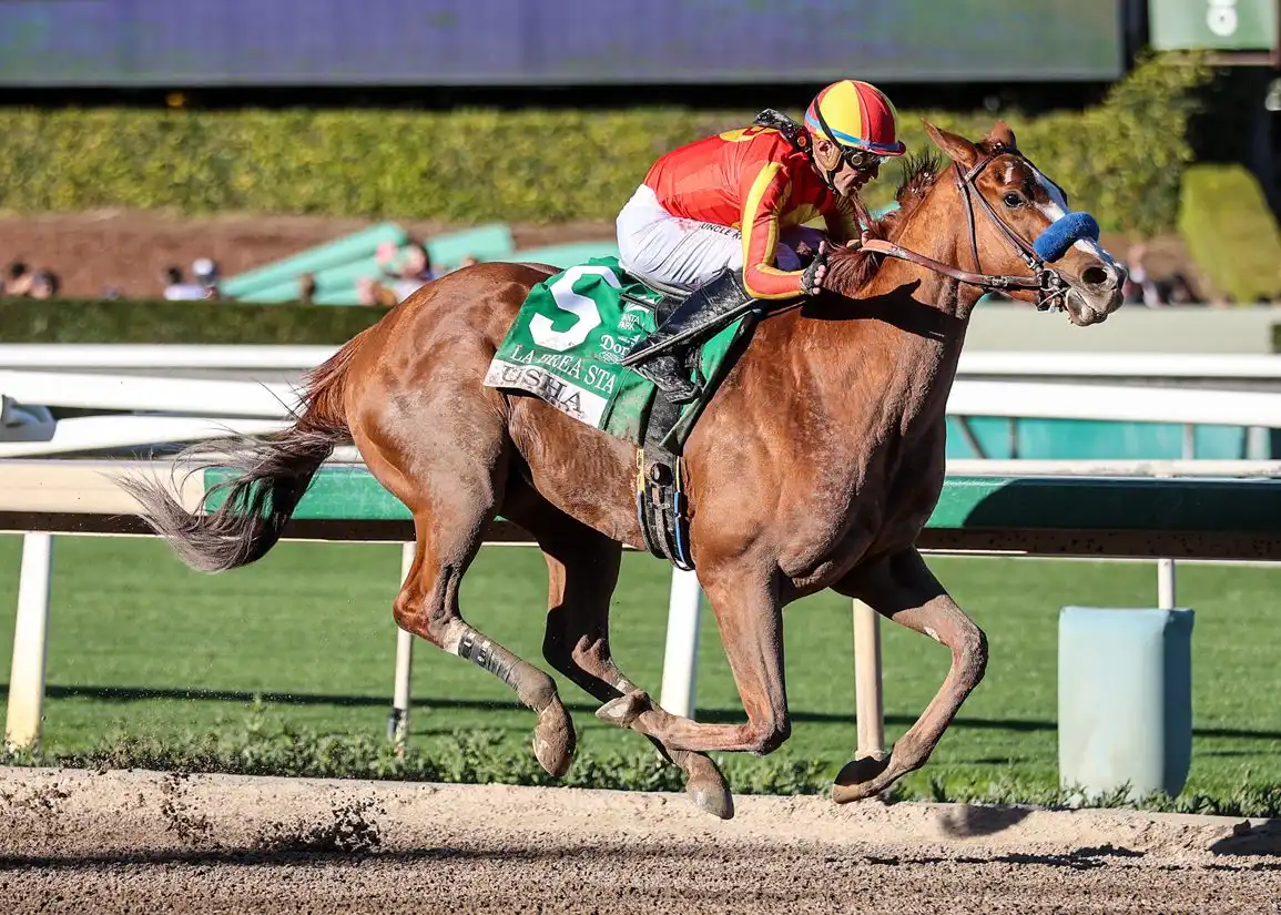 Usha gana el Winning Colors Stakes (G3) en Churchill Downs