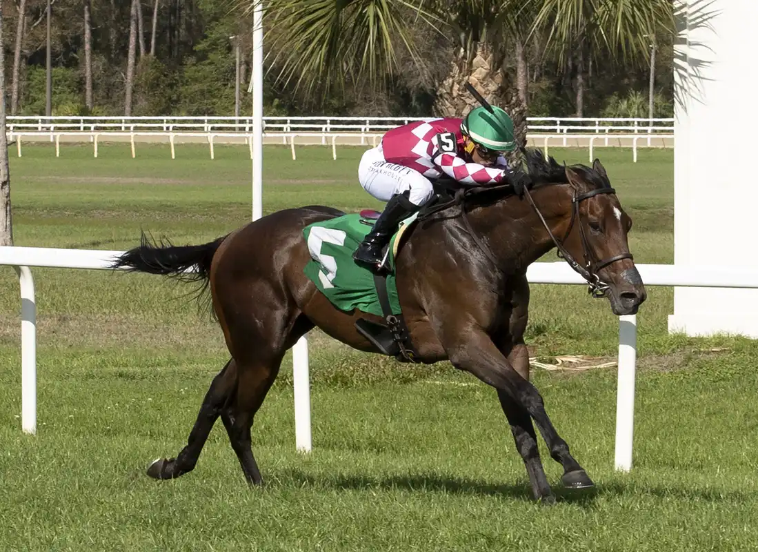 Alpyland apunta al Penn Mile Stakes (G3) en Penn National