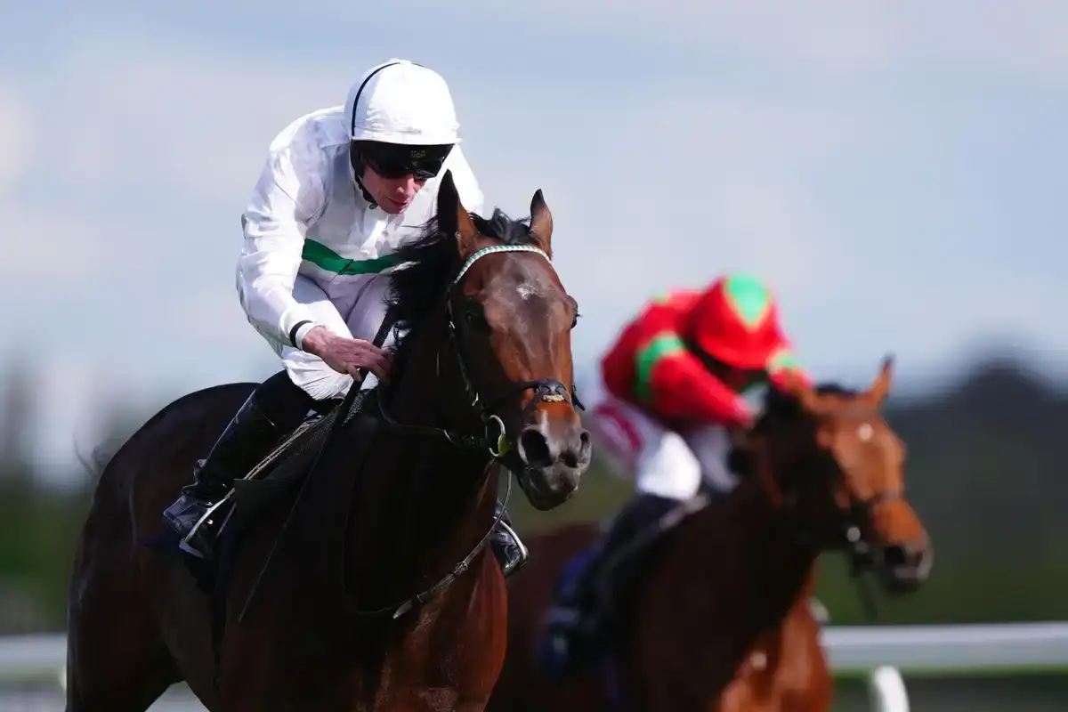 Water To Wine regresa a Kempton con Royal Ascot como objetivo