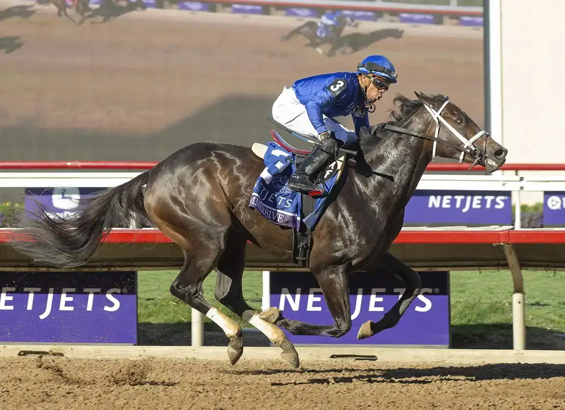 Shawnee Stakes G2: Immersive y Splendora buscan el triunfo