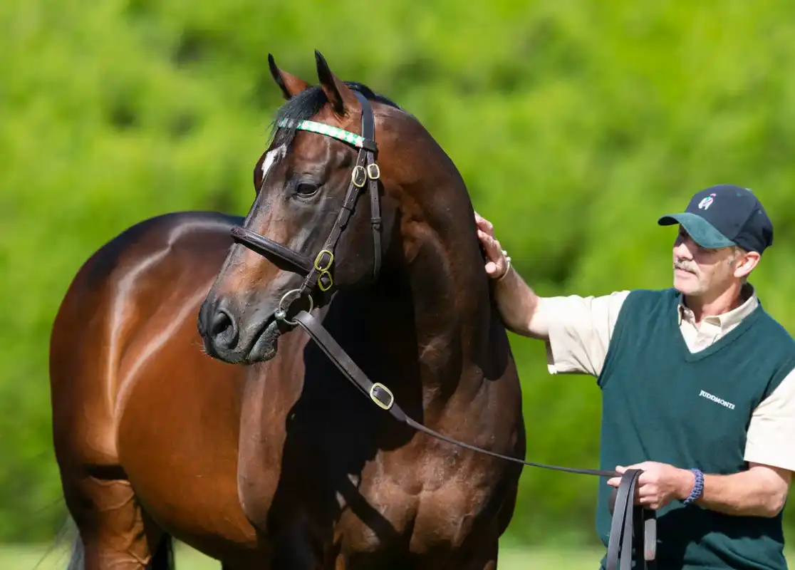 Juddmonte retira a Oasis Dream tras 23 años en la yeguada