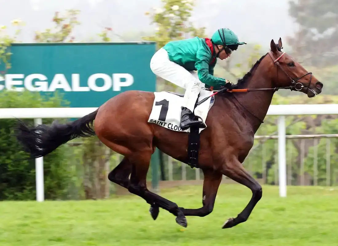 Preview del G1 Qatar Prix du Jockey Club 2026