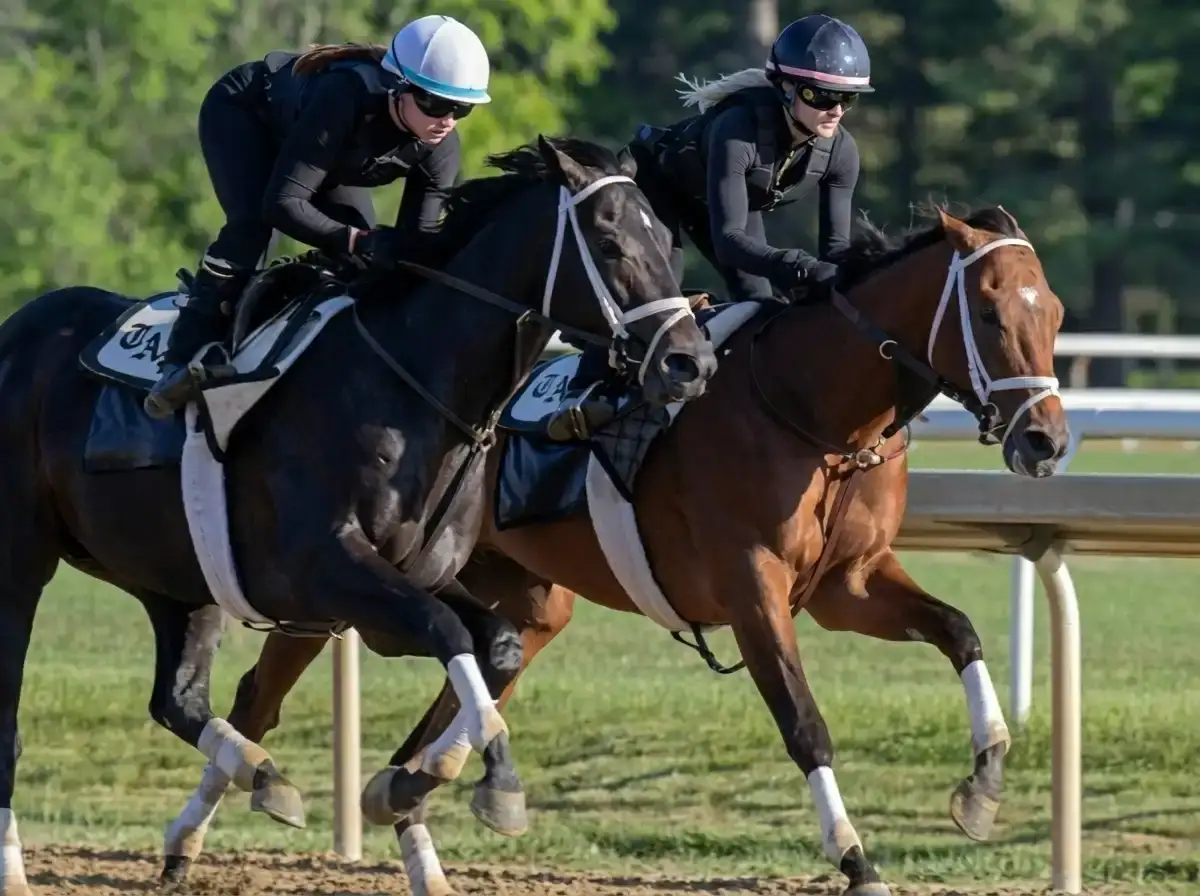 Powershift busca romper la historia en el Belmont Stakes (G1)
