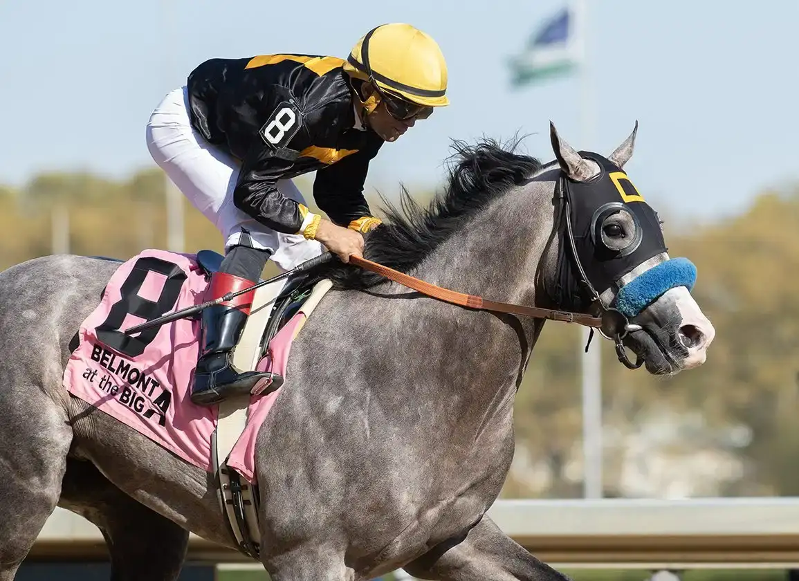 Napoleon Solo vendido tras el Preakness; apunta al Haskell