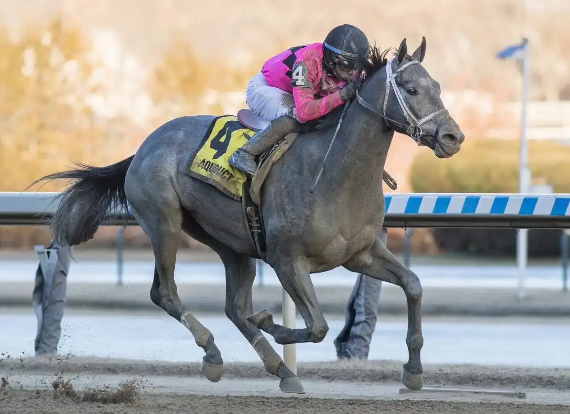 Stephen Foster Preview Day en Churchill Downs
