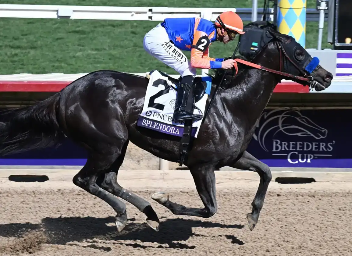 Splendora gana el Shawnee Stakes (G2) tras casi ser retirada