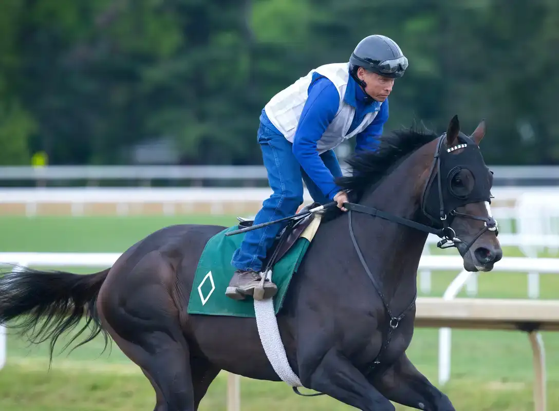 Trabajos clave rumbo al Belmont Stakes Racing Festival 2026
