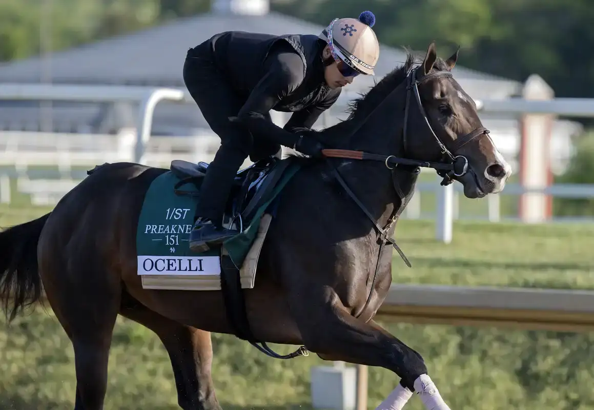 Ocelli se salta el Belmont Stakes y apunta al Ohio Derby
