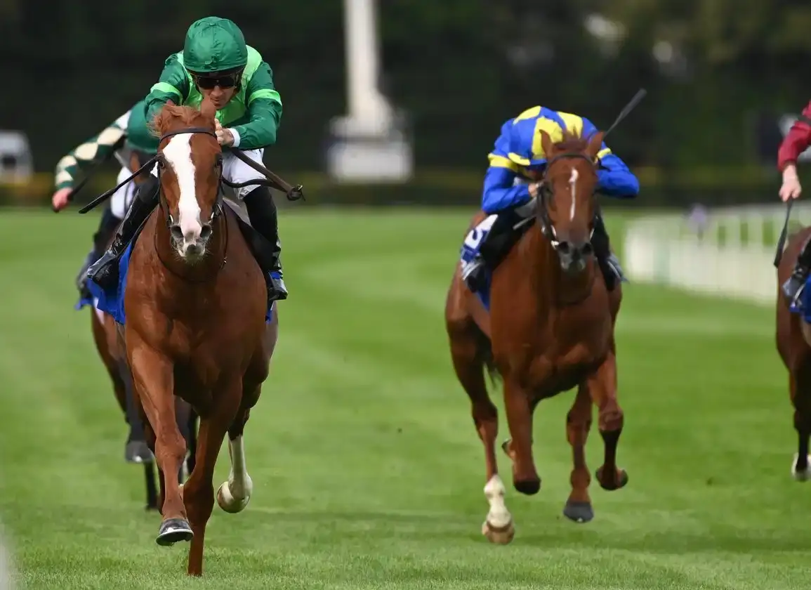 Benvenuto Cellini lidera los siete caballos de O'Brien para el Derby de Epsom