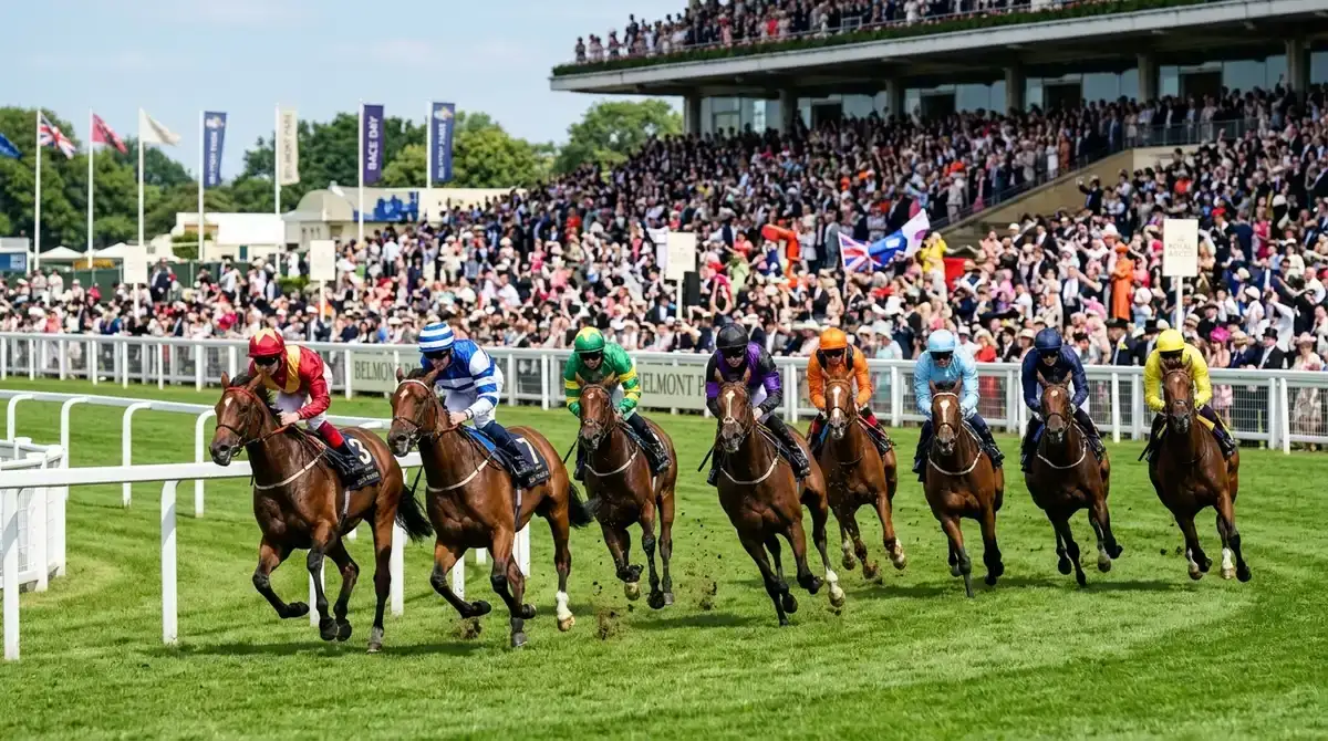 Cómo atraer nuevos públicos al hipismo: estrategias clave