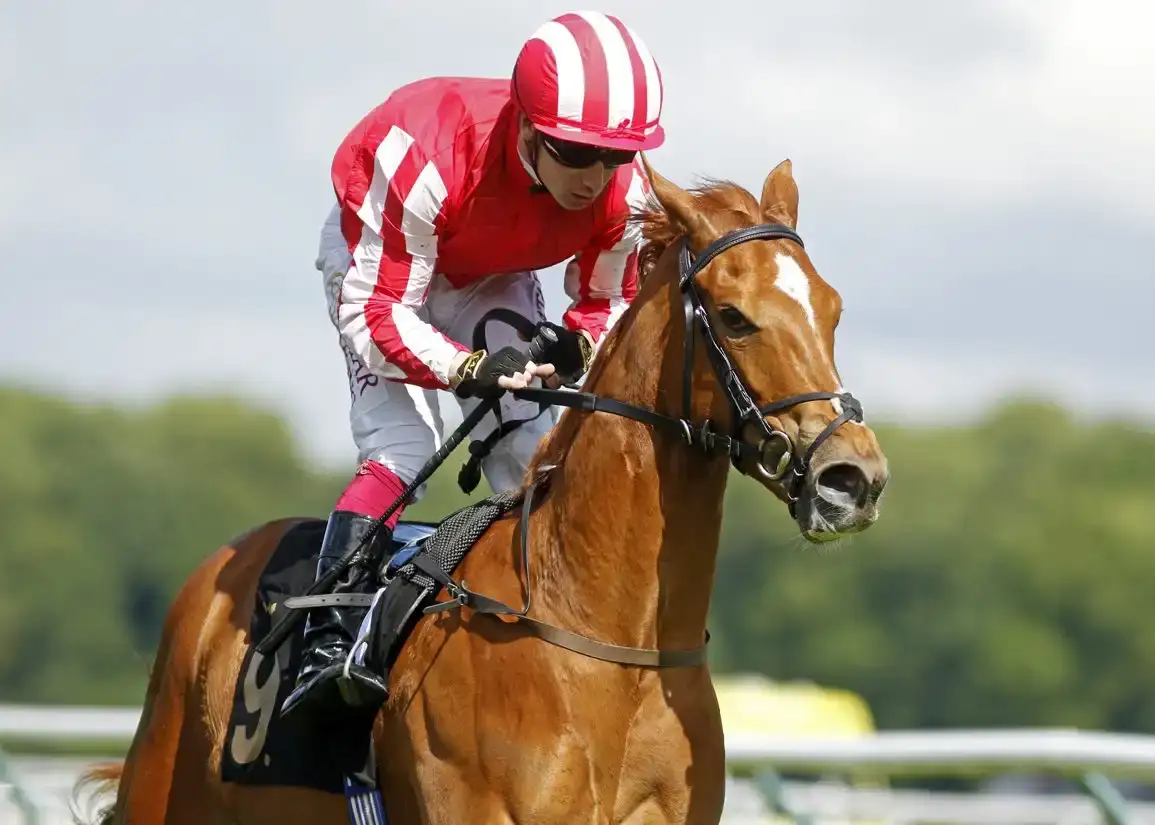 Senorita Bonita y debutantes destacados en Nottingham y Curragh