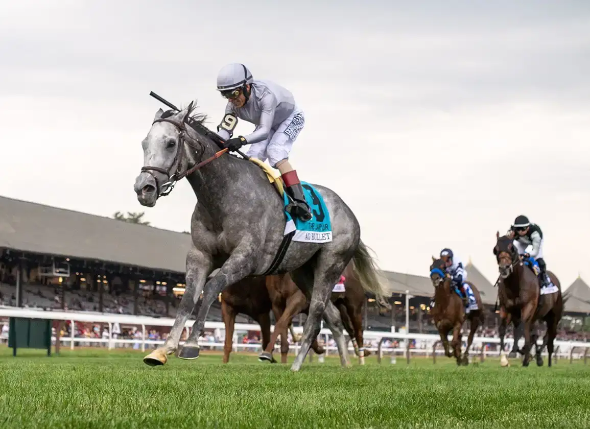 Ag Bullet busca repetir en el Jaipur Stakes de Saratoga