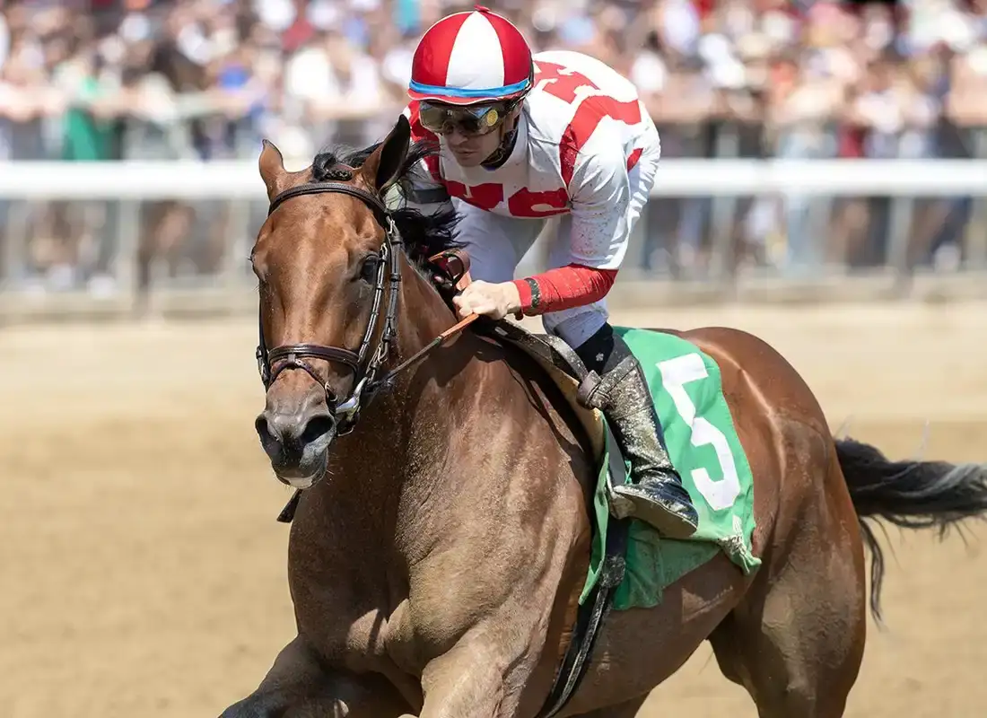 Ways and Means busca revalidar en las Bed o' Roses Stakes