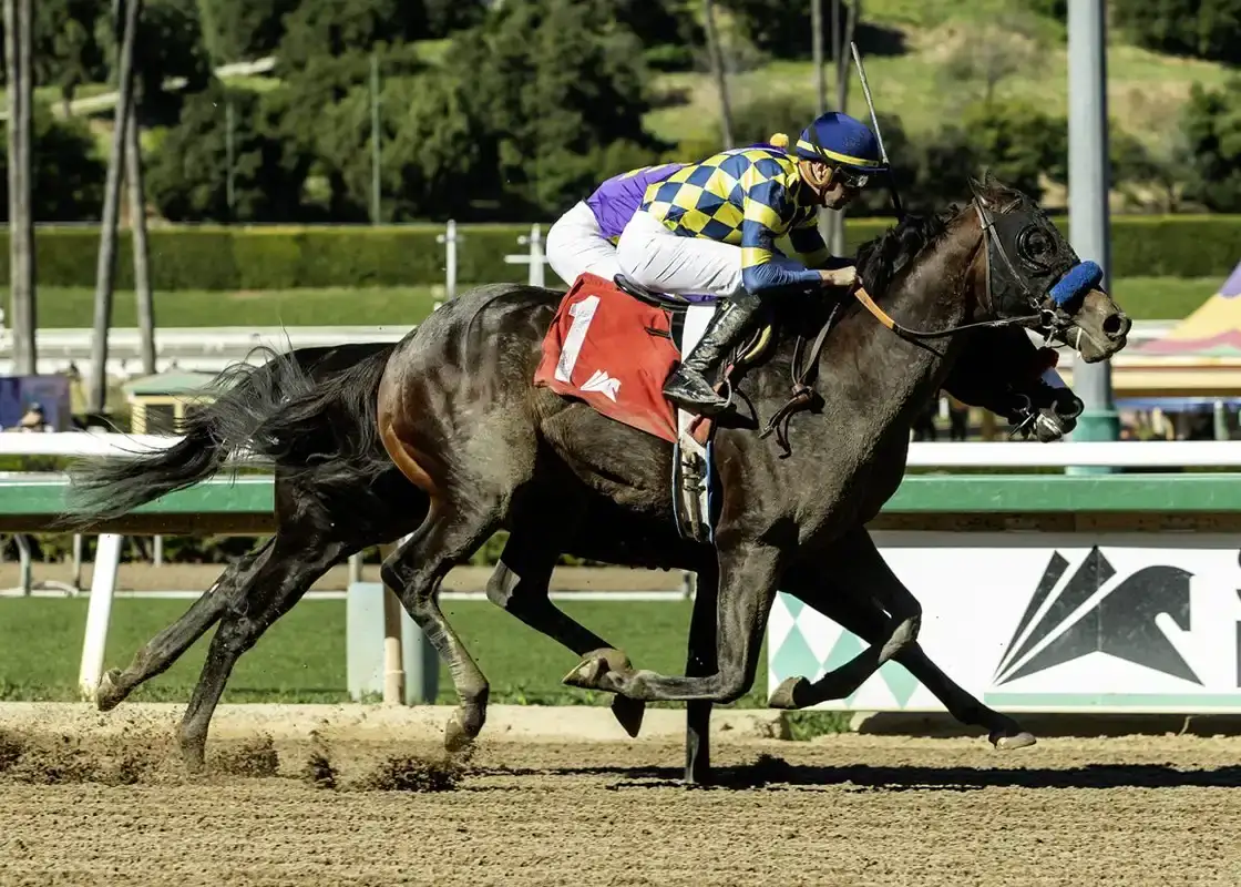Bob Baffert lleva a Crude Velocity al Haskell Stakes