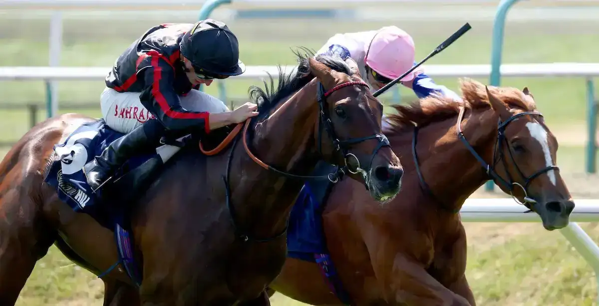 Maltese Cross apunta al Irish Derby o al Grand Prix de Paris tras el Derby