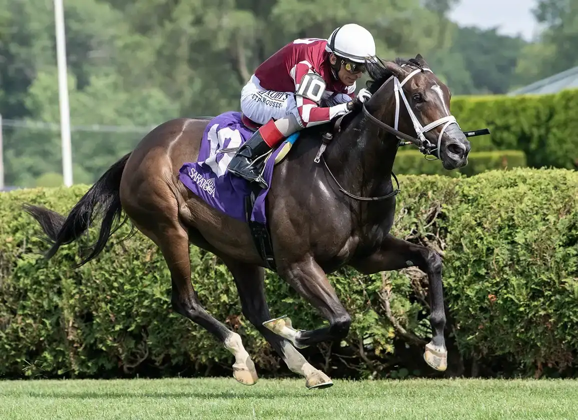 Cy Fair no correrá en Royal Ascot por precaución