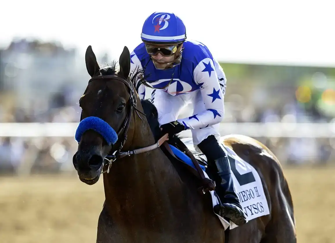 Nysos se une a Coolmore y Baoma Corp rumbo a Ashford Stud