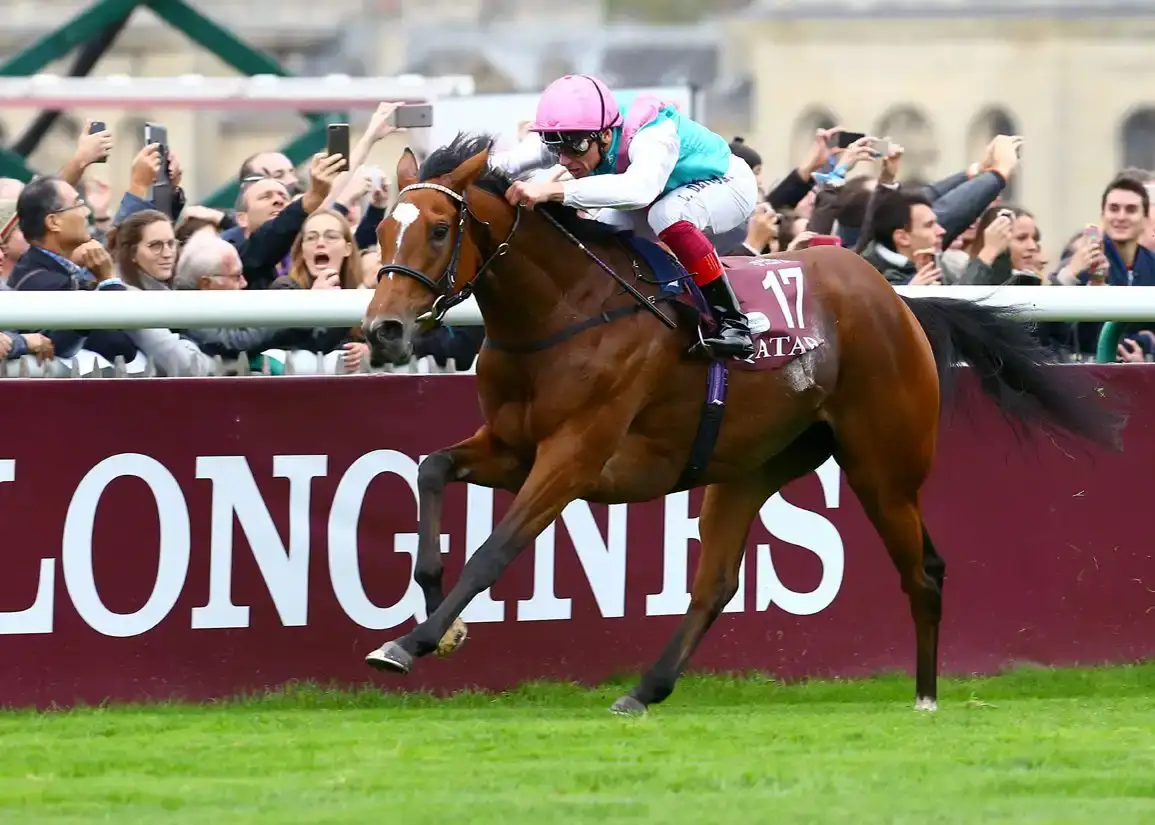 Centrum debuta en Salisbury: medio hermano de Enable