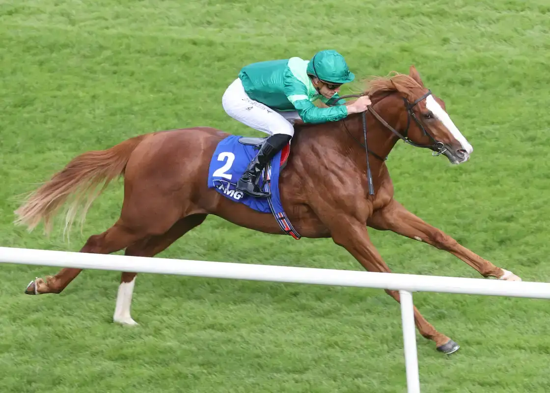 BHA defiende fallo sobre Benvenuto Cellini en el Derby de Epsom