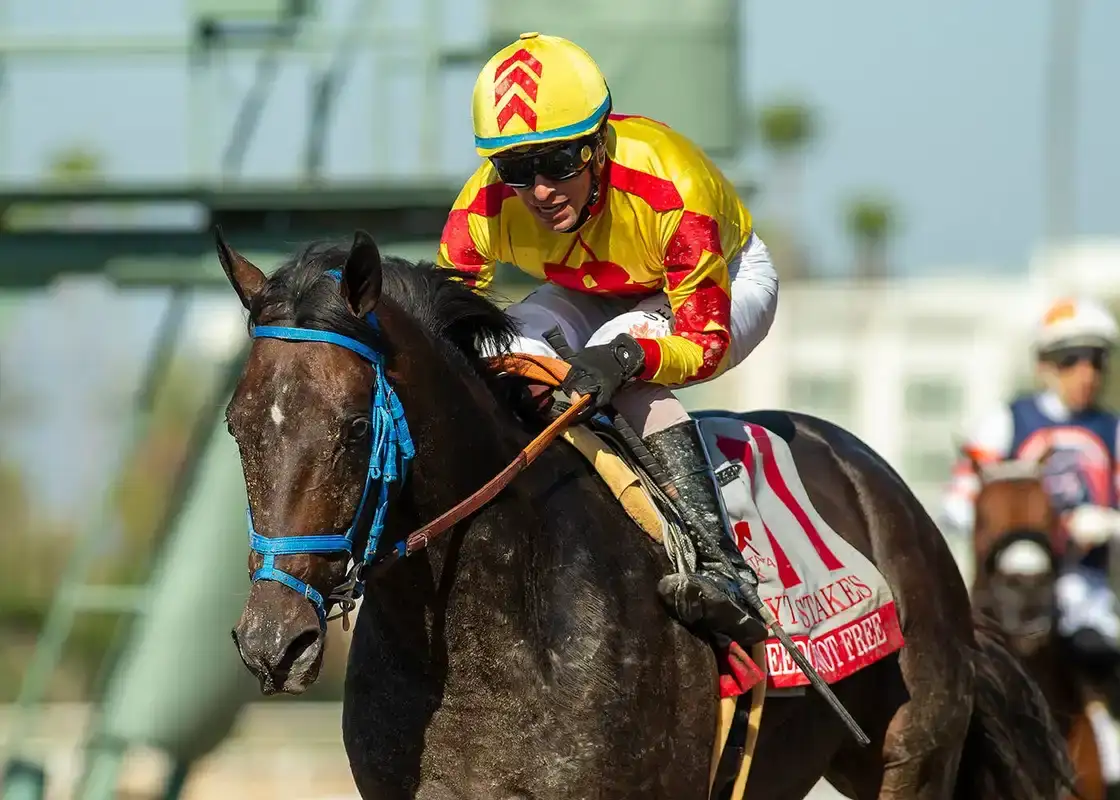 Sumter busca repetir en el Daytona Stakes en Santa Anita
