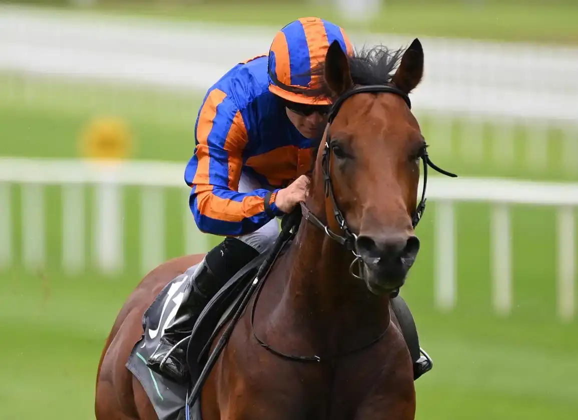 The Lion In Winter fallece por fractura en Ballydoyle