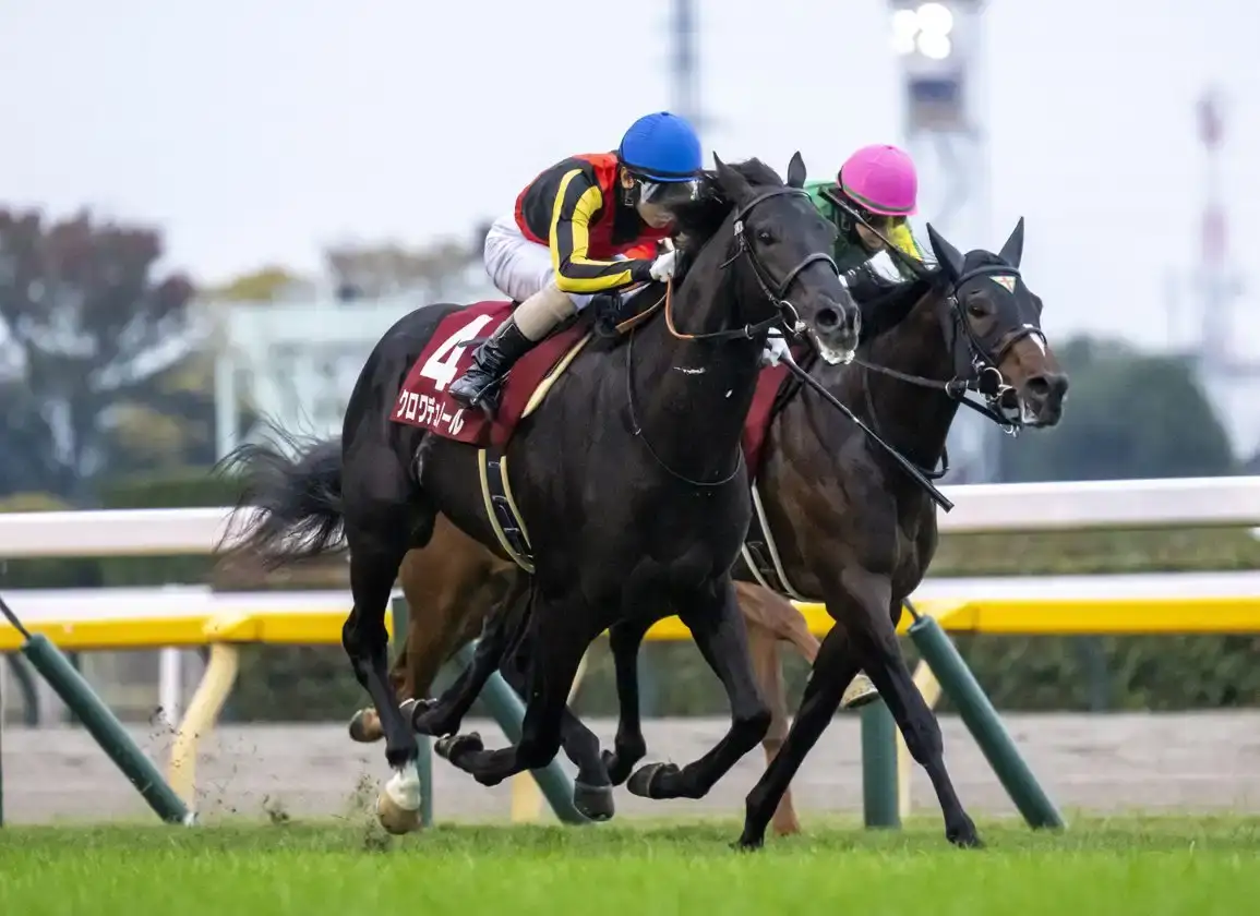 Croix du Nord apunta al tercer G1 en la Takarazuka Kinen