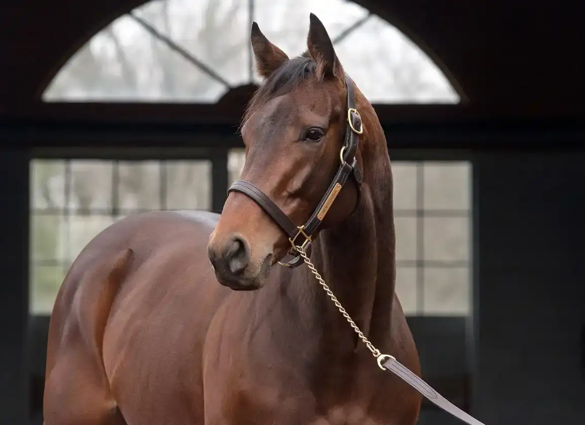 Mendelssohn alcanza su ganador número 50 de stakes