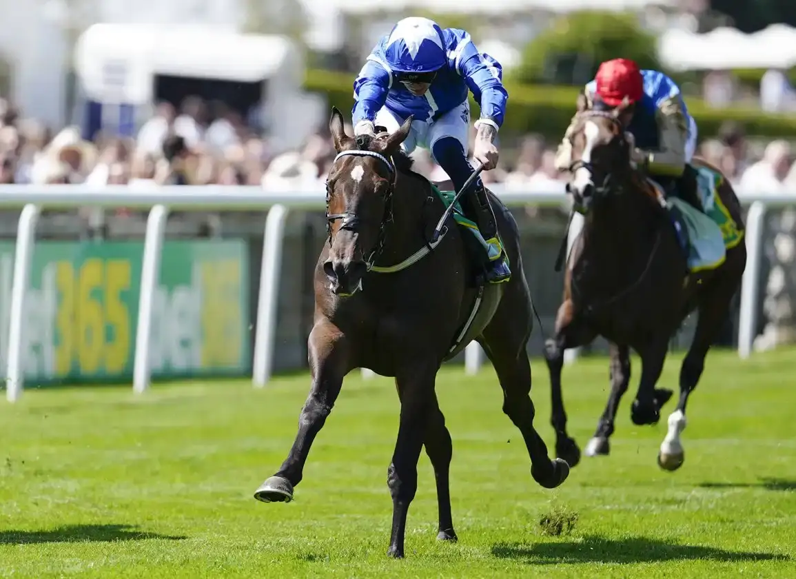 Royal Ascot 2026: Venetian Sun, Zanthos y Monroe Walk en foco
