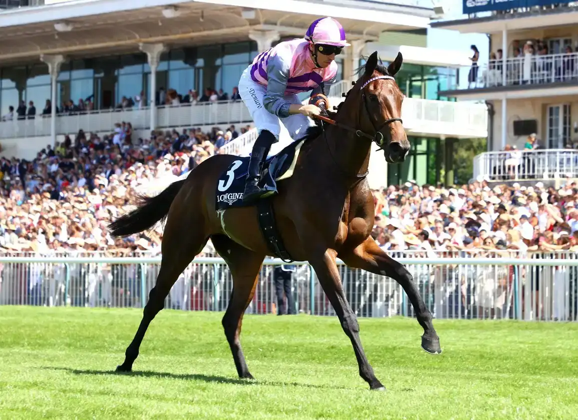 Habibi, cuarta en el Prix de Diane, se incorpora a la Arqana Summer Sale