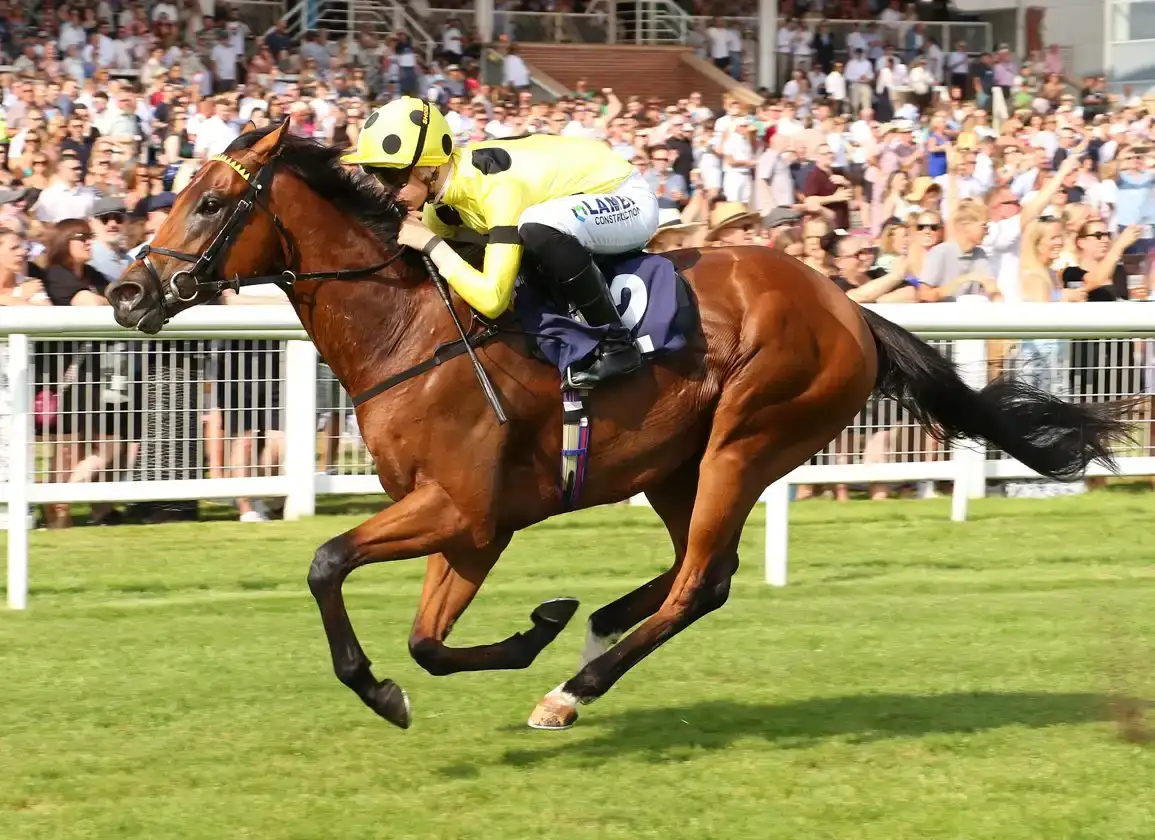 Royal Ascot 2026: Bow Echo y Ten Bob Tony brillan en la jornada