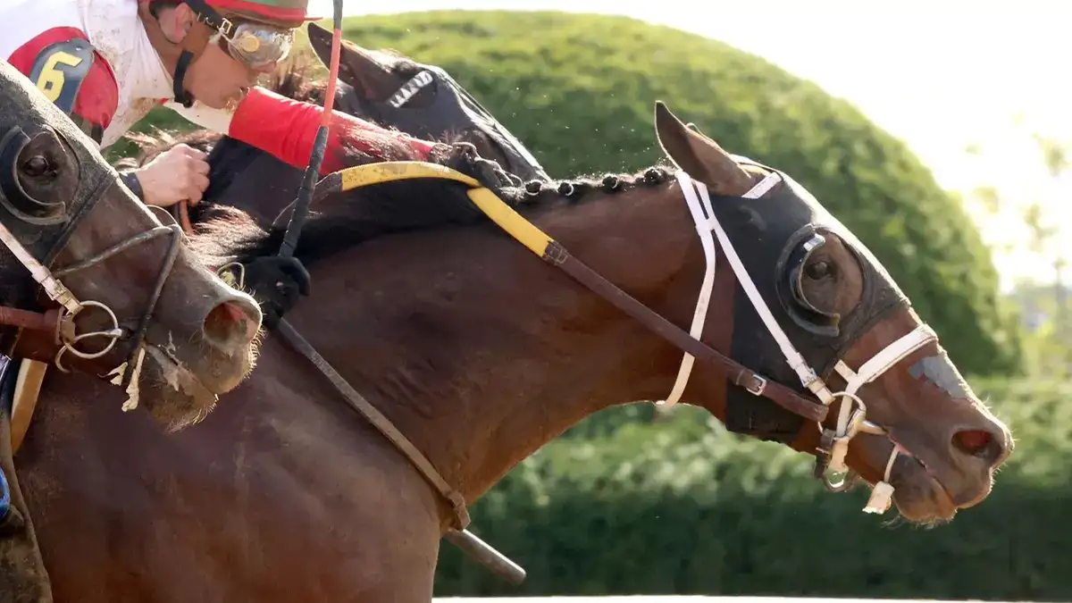 Dr. Kapur sorprende en el Perryville Stakes (G3)