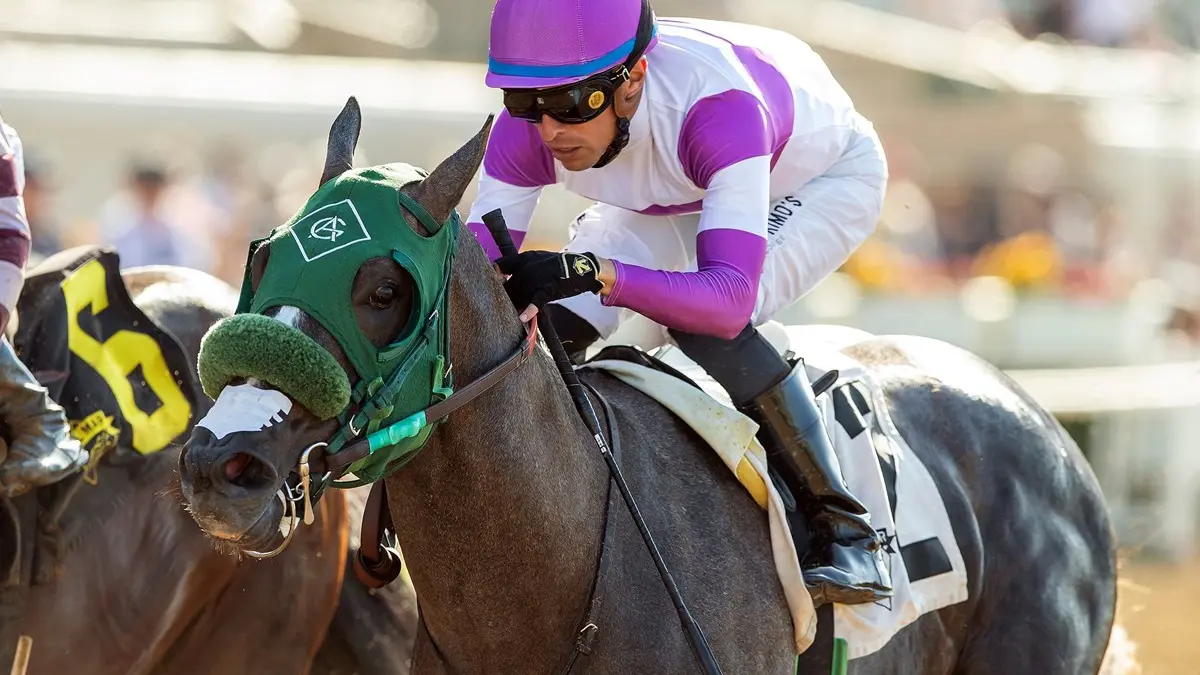 Net Par y cuatro caballos trabajan rumbo a la Breeders' Cup