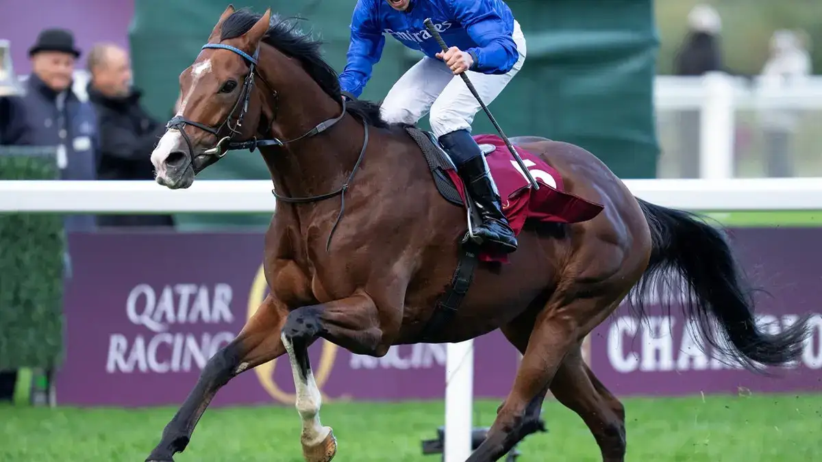 Ombudsman apunta a la Breeders' Cup Turf en Keeneland