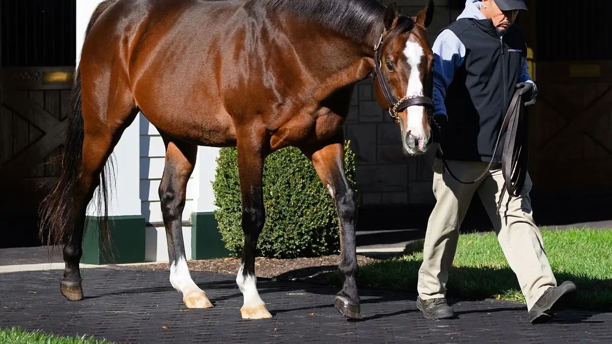 Not This Time lidera la pugna rumbo a la Breeders' Cup