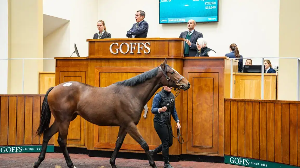 C Pas Possible lidera la subasta de Goffs por £50,000