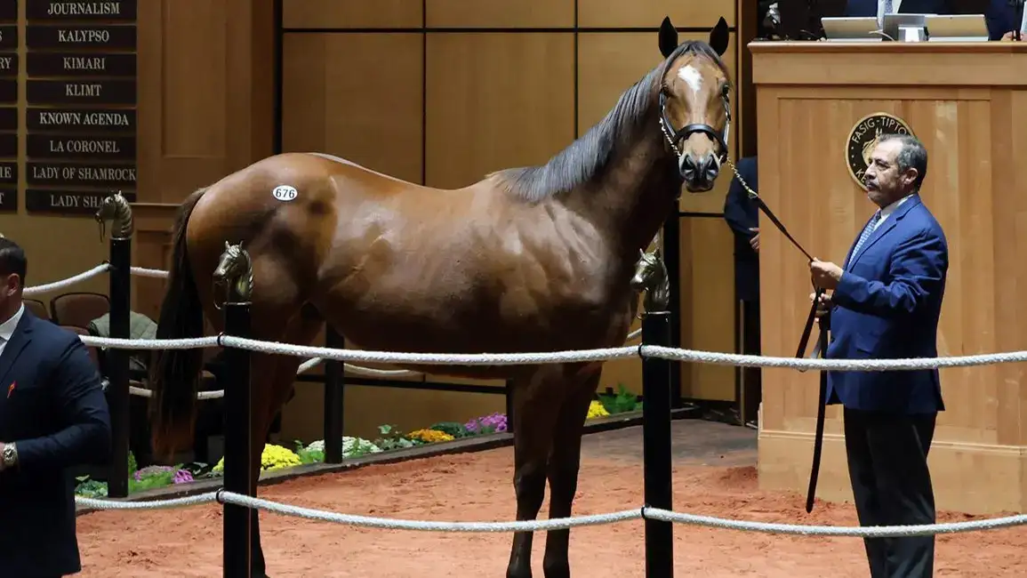 Dos yearlings se venden por US$800.000 en Fasig-Tipton