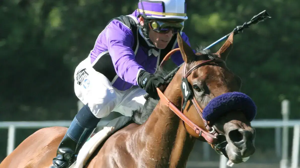 Muere Willow O Wisp, ganador de cuatro carreras de grado