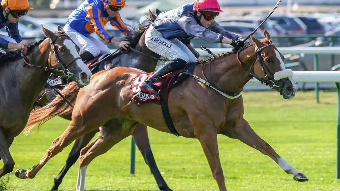 Miss Yechance se suma a la venta de Keeneland