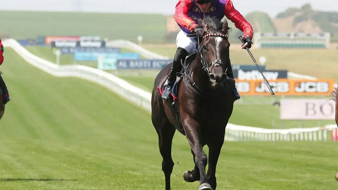 Point Of Law gana la Geelong Cup y asegura plaza