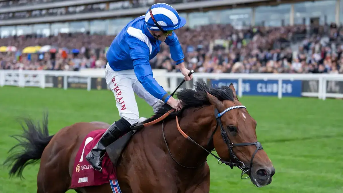 Almeraq se retira y será semental en Beech House Stud