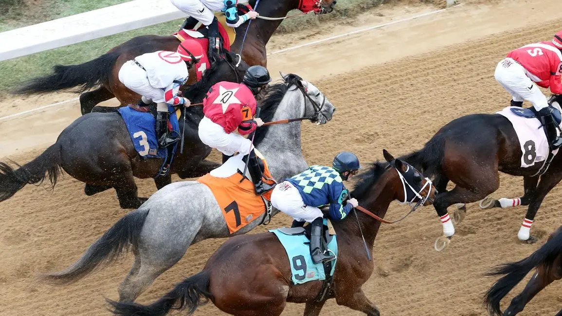 HISA detalla su apoyo a caballos tras las carreras