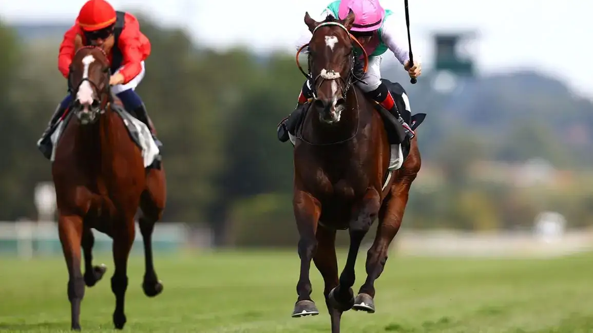 Blue Bolt apunta al Breeders’ Cup Filly & Mare Turf