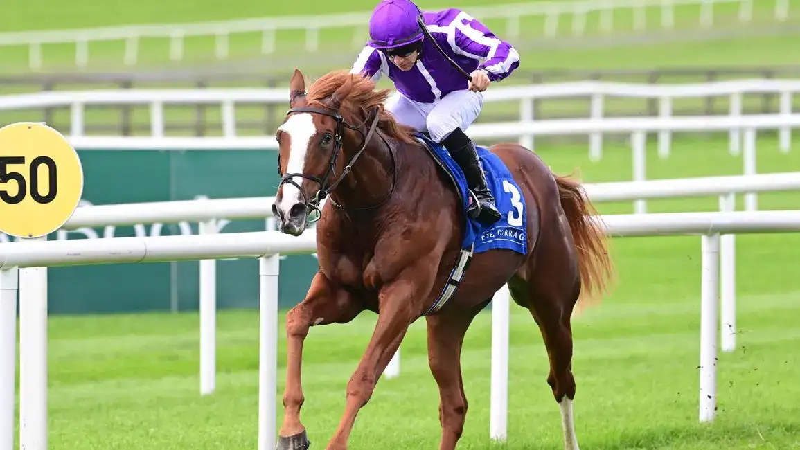 Noble Exhibit encabeza las apuestas del Futurity Trophy