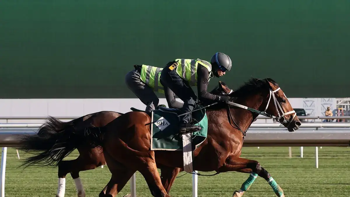 Rum Twist trabaja en Belmont para la Breeders' Cup