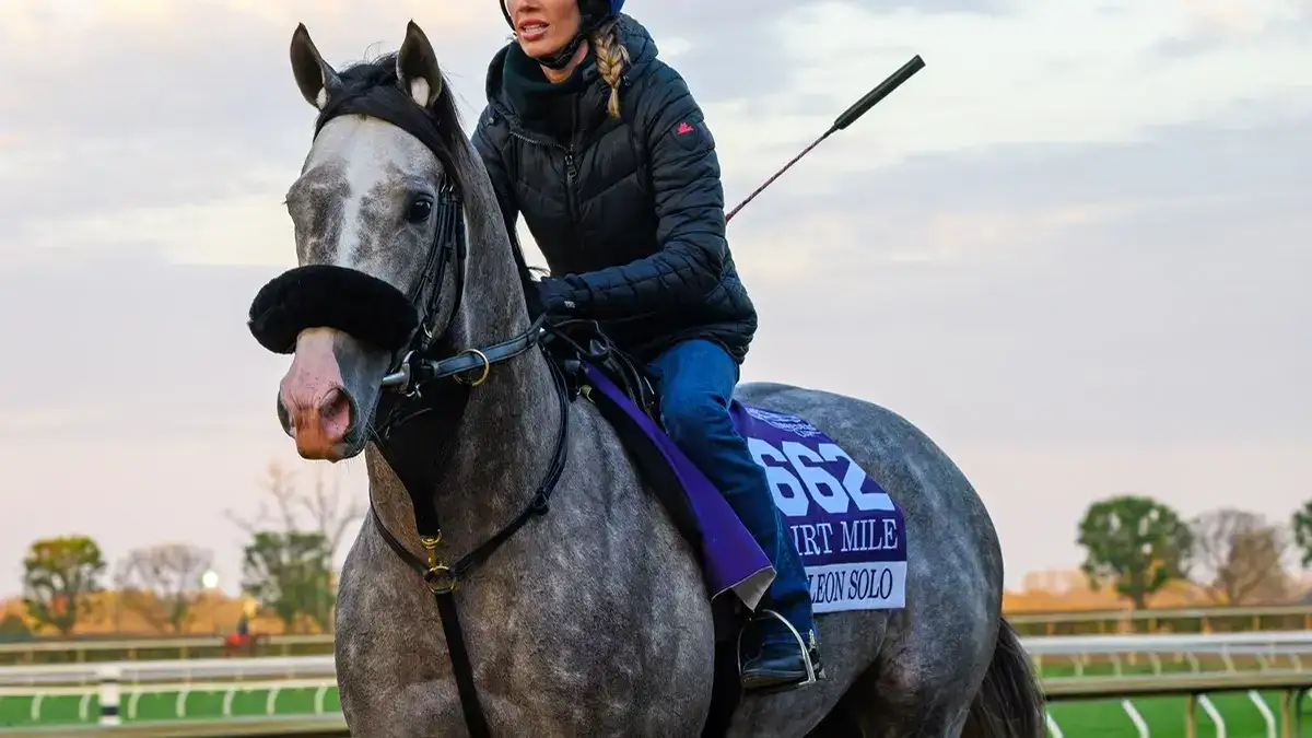 Napoleon Solo: Classic o Dirt Mile en la Breeders' Cup