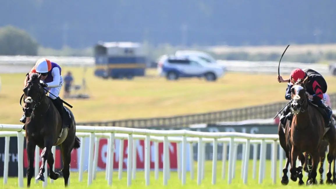 Cuatro ganadoras de Grupo 1 en la venta de Tattersalls