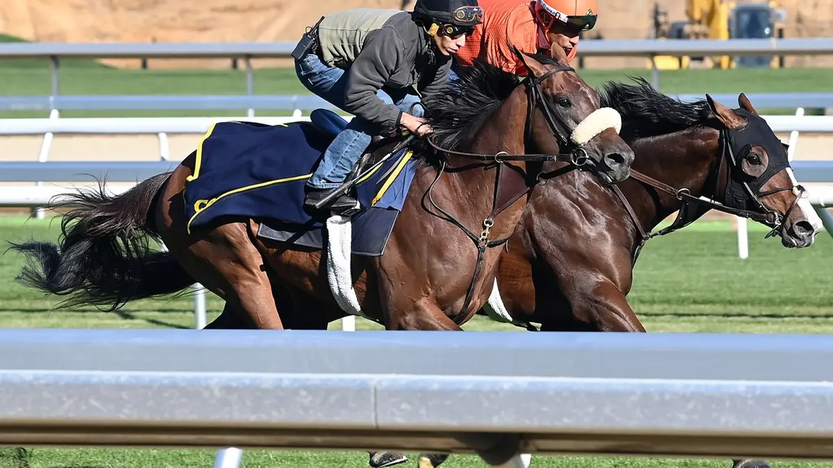 Far Bridge se prepara en Belmont para la Breeders' Cup Turf